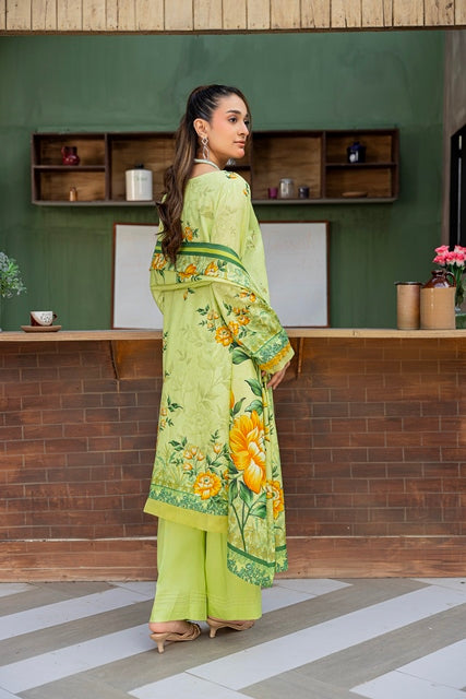 AZURA Karandi Embroidery Vol-06 | 3 Piece Unstitched Karandi Suit